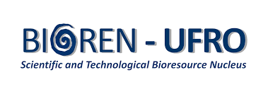 cropped Logo Bioren