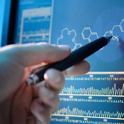 Bioinformatica Bioren