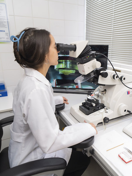 01 BIOREN UFRO_Investigacion