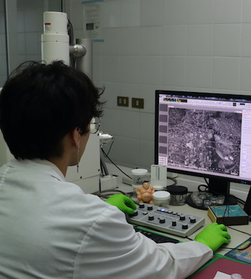 03 BIOREN UFRO_Investigacion