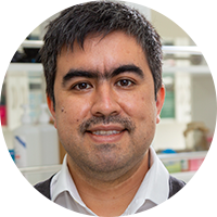 Dr. Nicolás Saavedra Cuevas